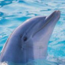 Del agua 5